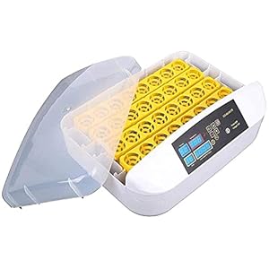 Ei incubator, 32 eieren Volautomatische Poultry Hatcher Machine, LED Candler Automatische Egg Turner Temperatuurregeling…