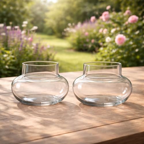 Image of Glass pots for Two Layer Lucky Bamboo or Money Plant - Transperant Clear Glass Bowl Round Shape Pot Planter (Bamboo Pot, 2)