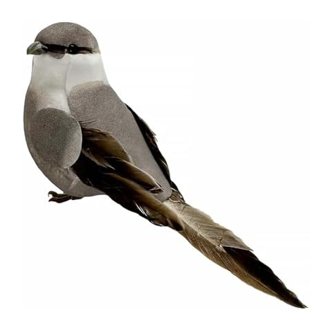 LWINGFLYER Northern Mockingbird Realistic Gray Artificial Birds Ornaments Feathered Bird Model for Decoration Arts & Crafts Photo Props Floral Arrangements Home Decor Figurines Cover