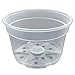 8" Crystal Clear Orchid Pots by rePotme - 6 Pack