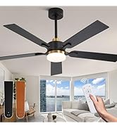 Curve Curio Black and Gold Ceiling Fan with Lights, 52 Inch Modern Ceiling Fan with Remote Contro...