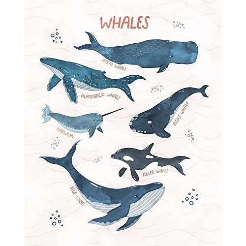 Image of ArtDirect Whales of the World 16x20 Large Unframed Art Print Poster Ready for Framing by Blue, Nina