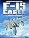 Produktbild F-15 Eagle: Undefeated 4th-generation Super-fighter