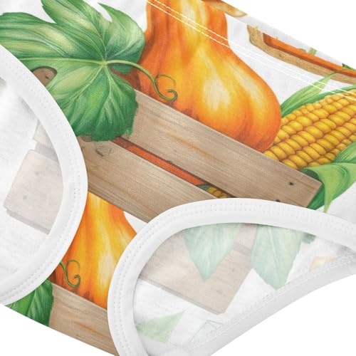 Toddler Underwear Floral 2t Cotton Cute Panties Girl Funny Briefs Undies Kids Autumn Harvest Pumpkins4