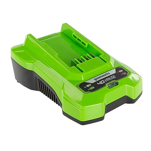 Greenworks Cargador de Batería 40V 2A - Cargador Greenworks 40V para Herramientas Eléctricas y Jardinería, Carga 1 Batería de 2Ah en 60 min, Compatible con Baterías de 40V, Garantía de 3 Años - G40C