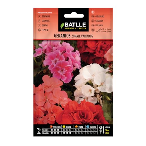Semillas Batlle Battle- Semi di Fiori, gerani zonali Assortiti