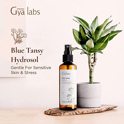 Gya Labs Blue Tansy Hydrosol For Skin Care And Stress Relief - Face Mist Spray To Relieve Oily Skin And Tension - 100 Natural And Unrefined Body Mist For Irritated And Dry Skin (3.4 Fl Oz) #TOP2