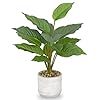 Small Fake Plants Indoor 145 Inch Potted Plant Artificial Decor 12 Leaves Faux Plant with Cement Pot Silk House Plants for Home Office Bathroom Kitchen Farmhouse Table Centerpieces Shelf Decor