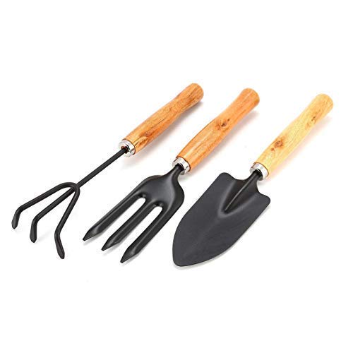 Zollyss 3 Pcs Mini Garden Tool Set Gardening Shovels, Spade, Rale with Wooden Handles (B084WR5CX7) Amazon Price History, Amazon Price Tracker