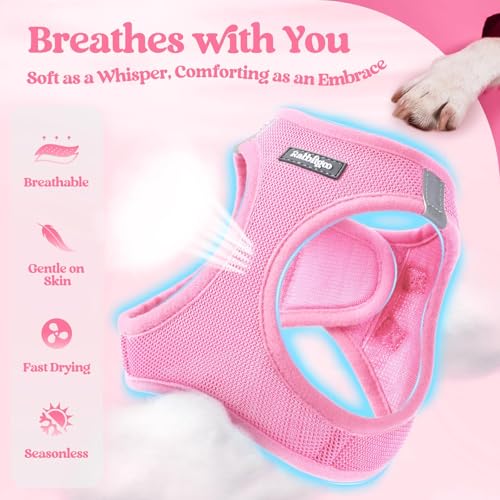 Image of rabbitgoo Dog Harness Medium Sized and Leash Set, Step-in Puppy Pet Vest