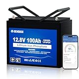 DCHOUSE 12V 100Ah LiFePO4 Batteri, BMS 100A amélioré, jusqu'à 15000 cycles, batterie au lithium 1280Wh, parfaite pour les camping-cars, caravanes, bateaux, camping, systèmes solaires
