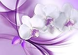 wandmotiv24 Fototapete Orchidee Blume Lila, XL 350 x 245 cm - 7 Teile, Wanddeko, Wandbild, Wandtapete, Vlies-Tapeten, Abstrakt, Knospe, Floral M1118