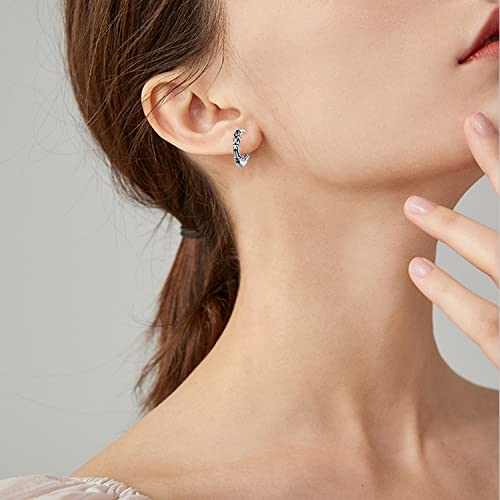 Viking Hoop Earrings 925 Sterling Silver Viking Earrings for Men Small Huggie Hoop Earrings Jewelry Gift for Women Men4