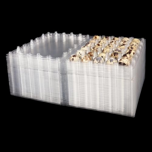 100 Pack Quail Egg Cartons, Clear Plastic Quail Egg Trays, Holds up to 30 Quail Eggs Securely - Your Ultimate Small Eggs Carton Holders for Bulk Storage and Display by KUKLIPJIM
