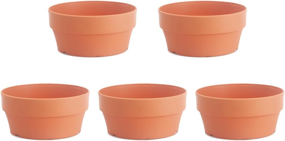Operitacx Shallow Flower Pot 5pcs Plastic Pots for Plants Imitation Terracotta Plant Pot 16cm Cactus Flower Pots Succulent Planter for DIY Flower Basin…
