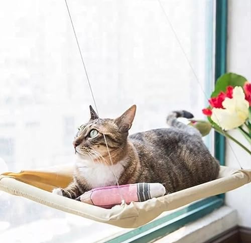 Cama de Janela Suspensa para Gatos com Ventosa