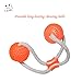 LEPPI Interactive Dog Toys with Two Rubber Indestructible Dog Ball for Tug of War Games- Orange
