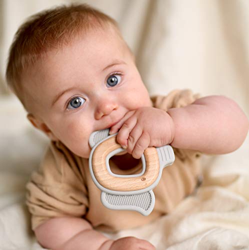 Nuby Natural Wood & Silicone Teether: Elephant, 3M+, Gray (80802)