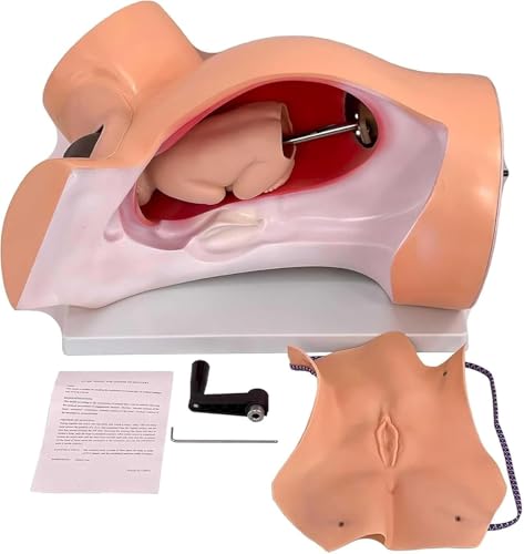 Simulateur d'entraînement fœtal AMITD utérus de bébé enseignement médical