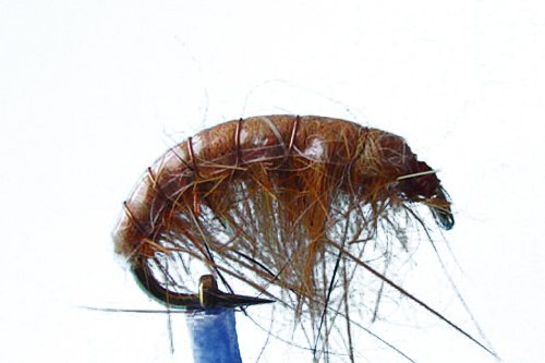 1 x Mouche Nymphe GAMMARE Orange pour pêche à la Truite H14 Cover