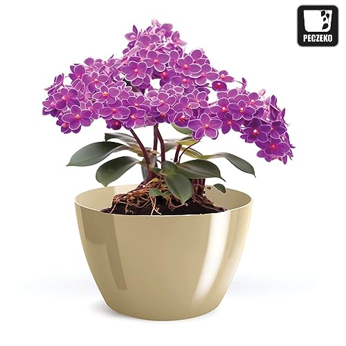 PECZEKO Shiny Flower Pot, Plastic Planter, Decorative Pot for Large and Small Plants Set of 2 Flower Pot, Herb Pot, Beige - Image 4
