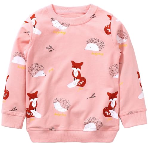 Image of Hongshilian Unisex Kids Cute Cartoon Cotton Sweater Shirt