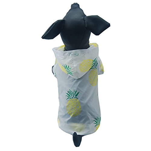 Moletom com capuz Legendog Summer Dog com estampa de cachorro e frutas, proteção solar, roupas para