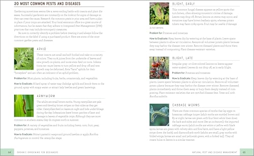 Organic-Gardening-for-Beginners-An-Eco-Friendly-Guide-to-Growing-Vegetables-Fruits-and-Herbs-Paperback--June-29-2021