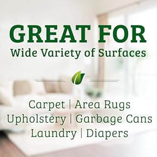 Biokleen Bac-Out Enzyme Cleaner and Stain & Odor Remover for Pet Stains, Laundry, Diapers, Wine, Carpets, & More, Eco-Friendly, Non-Toxic, Lime Scent, 128 Ounces