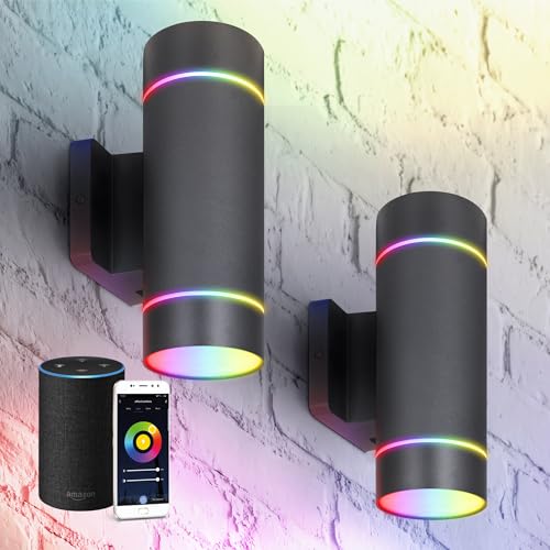 ASD 2 Light Smart RGBW LED Indoor & Outdoor Wall