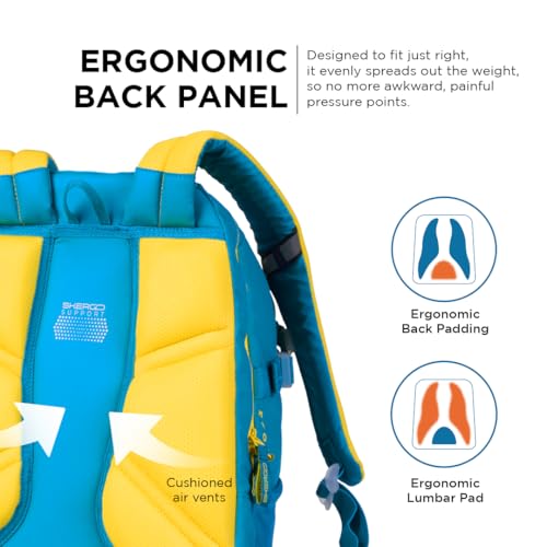 Image of Ergo43 Classic Ergonomic School Bag | Posture & Spine Support, Lumbar Padding, Lightweight | 34L Daily School Backpack