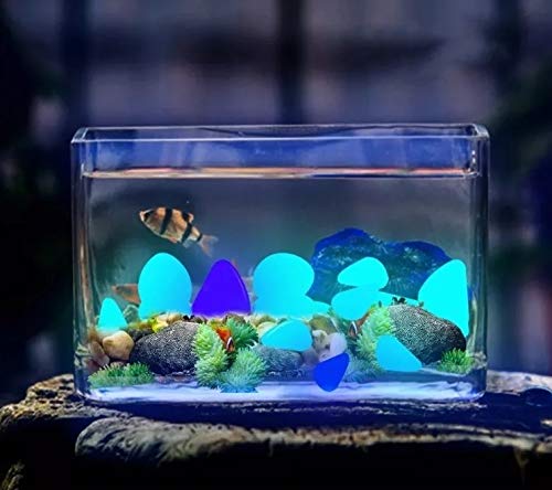 PEDRAS PARA DECORAÇÃO JARDIM AQUÁRIO BRILHAM NO ESCURO JOGO COM 50 UNIDADES J7452