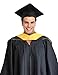GRADWYSE Science Master Hood M.S. Graduation Master Degree Hood, Various College Colors Available Golden Yellow (Orange/White)