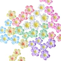 N32 プルメリアパーツ オーダー N32 プルメリアパーツ オーダー 楽天市場】プルメリア パーツの通販