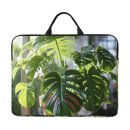Fbghhty Monstera Deliciosa �o�i�i �p�[�� �v�����g ���b�v�g�b�v �P�[�X �X���[�u �j�� ���� �w�Z �I�t�B�X ���s �m�[�g�u�b�N�o�b�O �R���s���[�^ �v���e�N�^�[