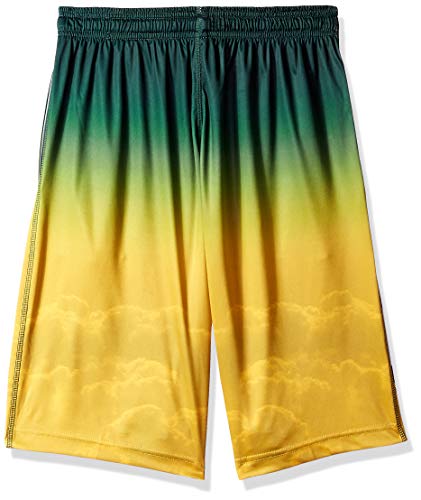 FOCO Men's NFL Football Team Gradient Big Logo Training Shorts2