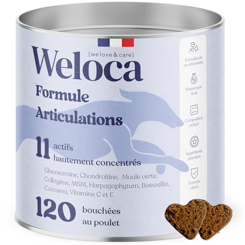 Arthrose Chien | 120 compléments Premium | 11 Actifs puissants hautement dosés (Moule Verte, harpagophytum, chondroïne, Glucosamine) | Anti-arthrose, mobilité...
