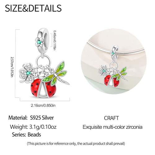 Image of 925 Sterling Silver Charms,Hypoallergenic Beads,Compatible with Pandora Bracelets and Necklaces,Women Holiday Gift Pendants