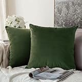 CANVASBEE Green Velvet Throw Pillow Covers 18'x18' Pack of 2 Soild Decorative Square Cushion Case Set for Couch Sofa Bed