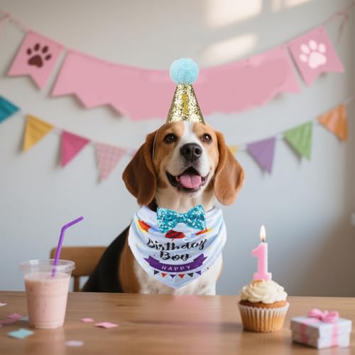 Set de Sombrero y Bandana para Cumpleaños de Perros miniatura 4