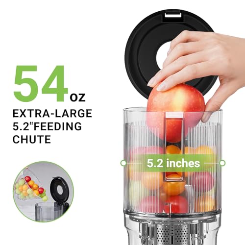 image for AMZCHEF Cold Press Juicer, Juicer Machines - 5.2