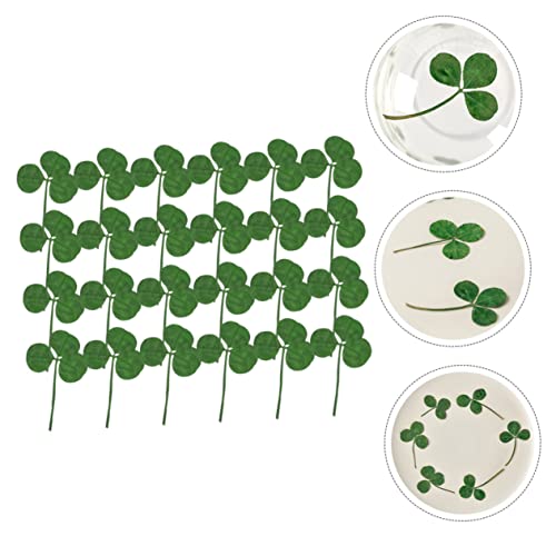 Flores prensadas secas naturales para manualidades 24 pcs miniatura 7