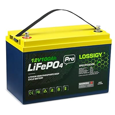 LOSSIGY 12V 100AH LiFePO4 Lithium RV Battery, Perfect for Solar System, Marine, 1280Wh 5000+ Deep Cycles, Built in BMS with 10 Yrs Lifespan