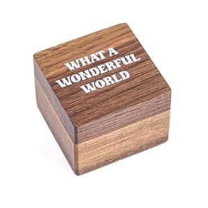 Personalized Guitar Pick Holder, Custom Pick Case, Musician Gift, Guitarist Accessory, Handmade Pick Storage, Gift for Guitar Lover (What A Wonderful World) Personalized Guitar Pick Holder Custom Pick Case Musician Gift Guitarist Accessory Handmade Pick Storage Gift for Guitar Lover What A Wonderful World