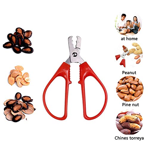 Fani AU-N06 3 Pcs Nut Crackers For All Nuts Stainless Steel Walnut Cracker Nut Cracker Pistachio Nut Cracker Sunflower Seed Opener Household Metal Seed Peeling Sheller thumb #6