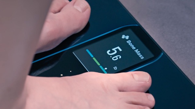 Image of RENPHO Smart Scale for Body Weight Fat, Digital Bathroom Scale with Color Display, Wi-Fi & Bluetooth Fitness Equipment for BMI Muscle Mass Composition, Rechargeable, Elis Nova