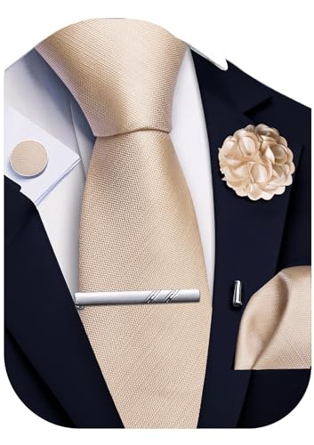 Ailisus Champagne Striped Tie and Handkerchief,Tie Clip Cufflinks Lapel Pin Set Wedding Party Silk Solid Beige Necktie Set Formal