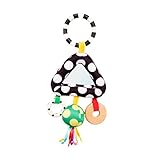 Sassy Amaze Me Triangle Toy