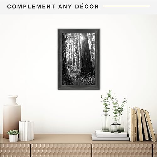 MCS Classic Studio Gallery Frame, Black Woodgrain, 11 x 17 in, Single, Classic Black, 12 x 18 in