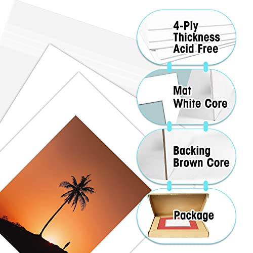 Golden State Art, 16X20 Picture Mats Mattes With White Core Bevel Cut For 11X14 Photo + Backing + Bags (White, 5 Pack) #TOP2
